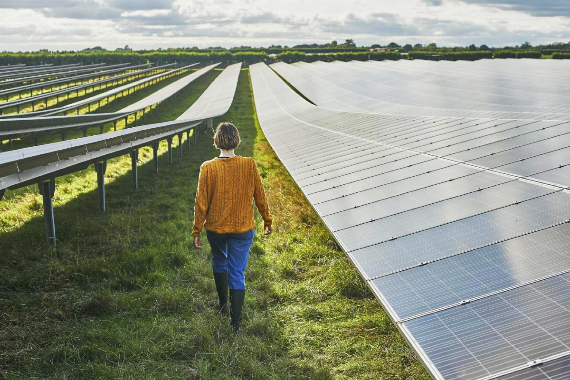 A person walking in between rows of large solar panels. 