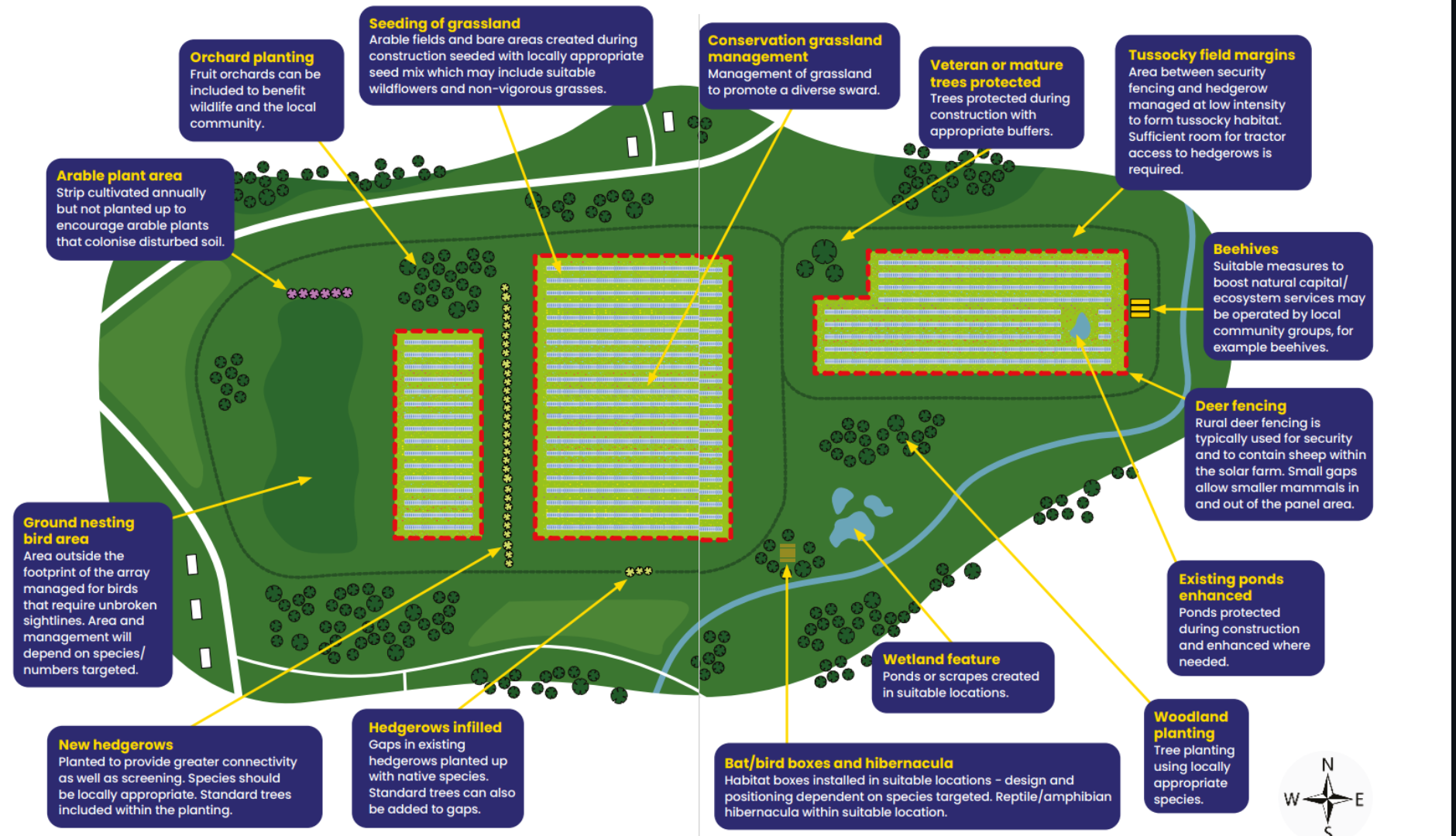 Solar and biodiversity 