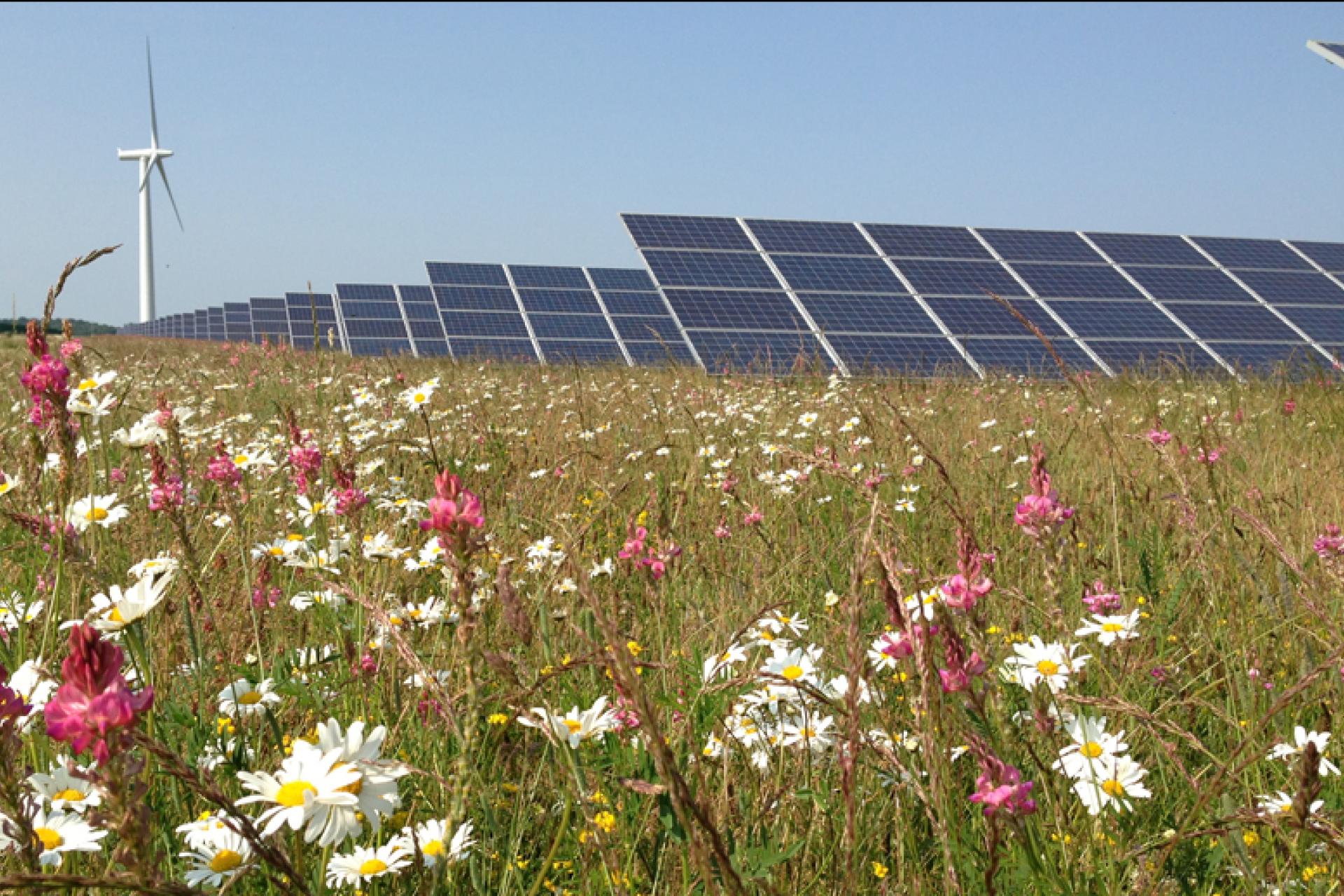 West Mill solar farm