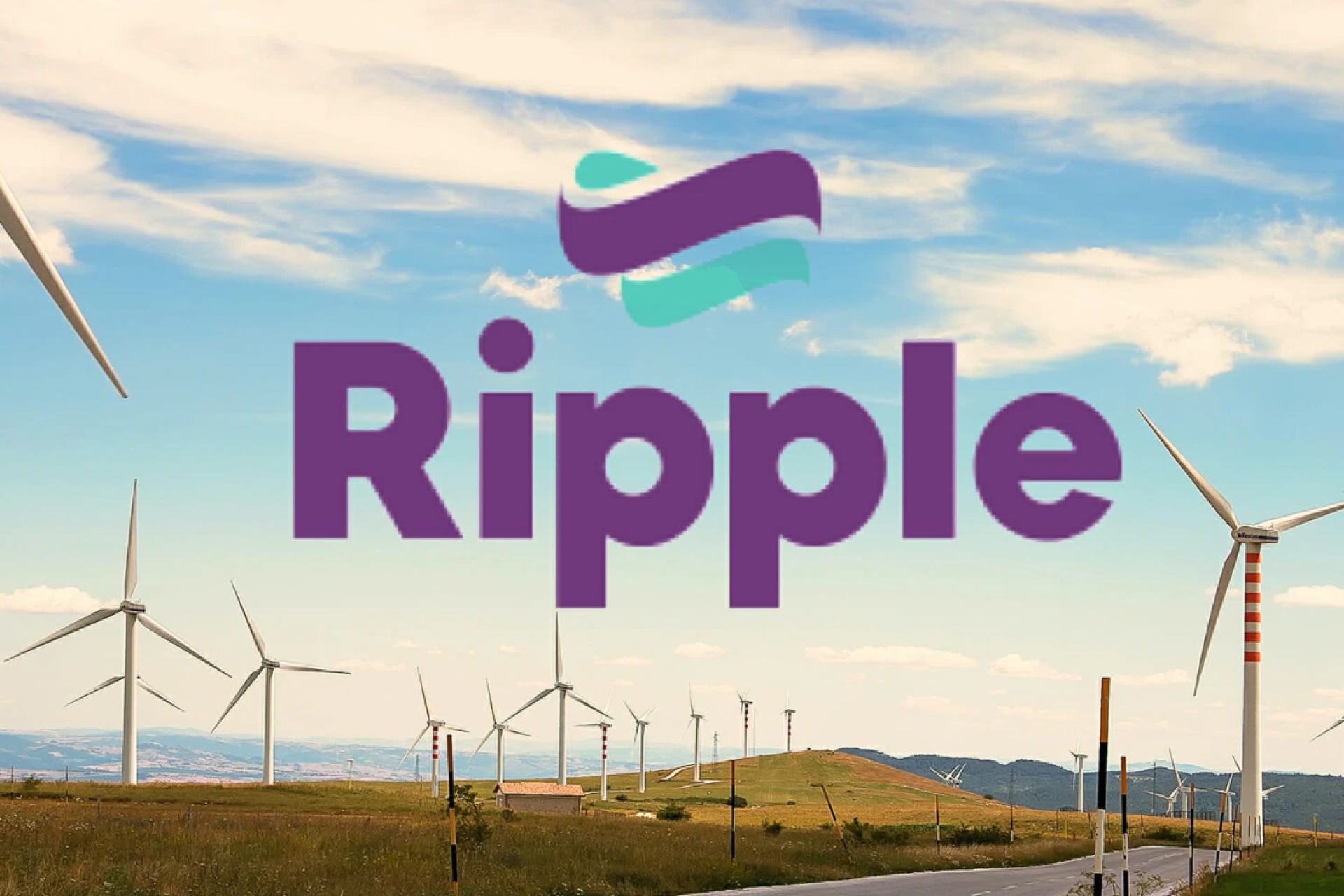 Ripple logo displayed in front of a backdrop of wind turbines, symbolising renewable energy.