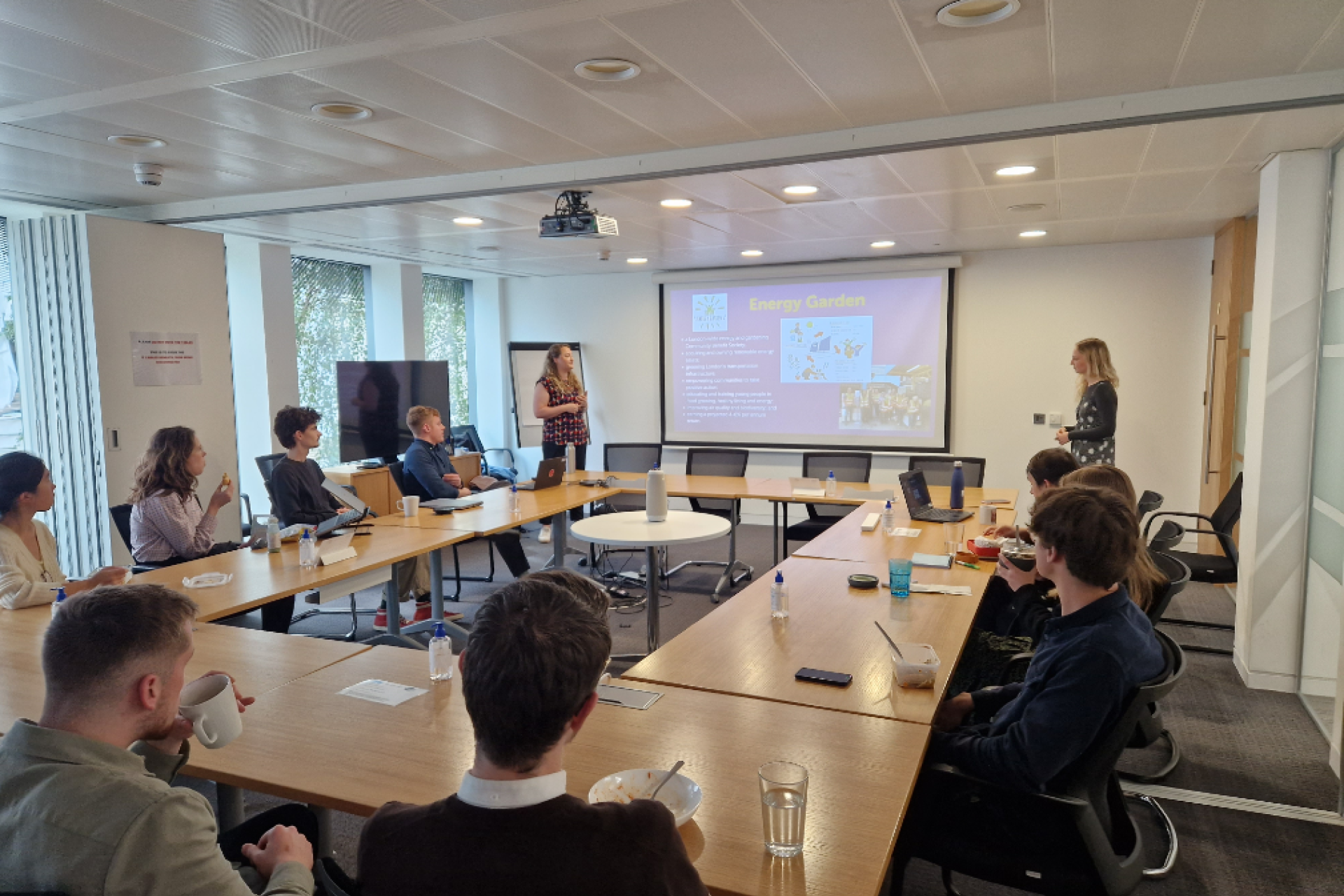 Connie presenting Community Energy Connect at a corporate lunch-and-learn session.