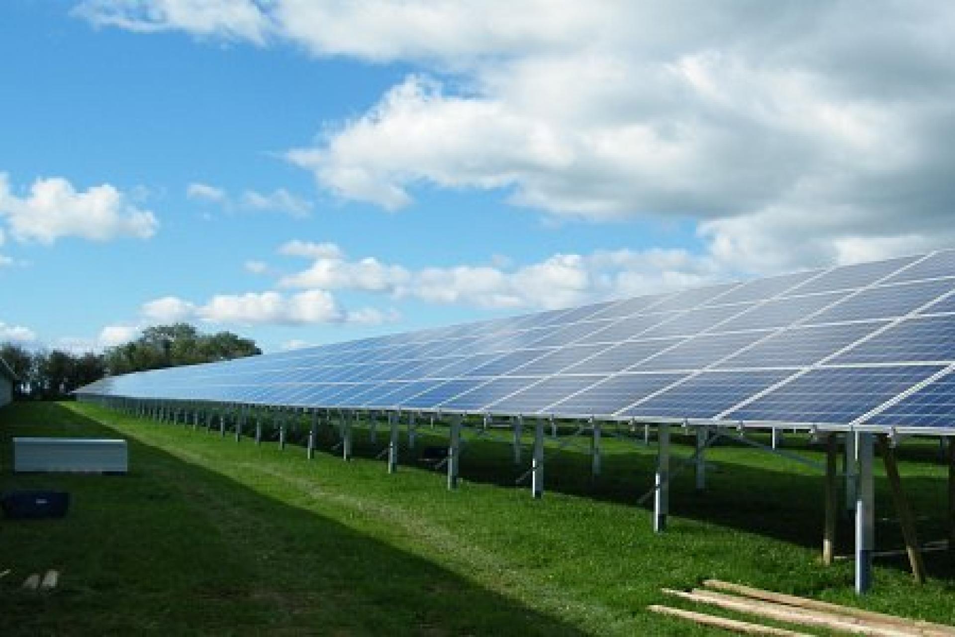 The solar panels at the Wedmore site surrounding by grass and farm land